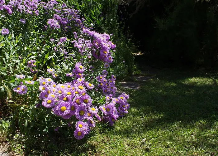 Appartement Weinlandhaus Mitterretzbach